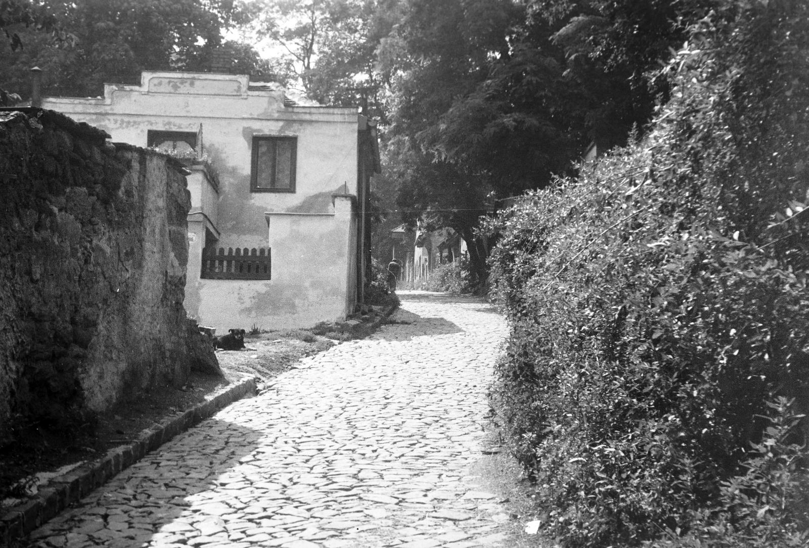 Magyarország, 1958, Gazda Anikó, Fortepan #307067