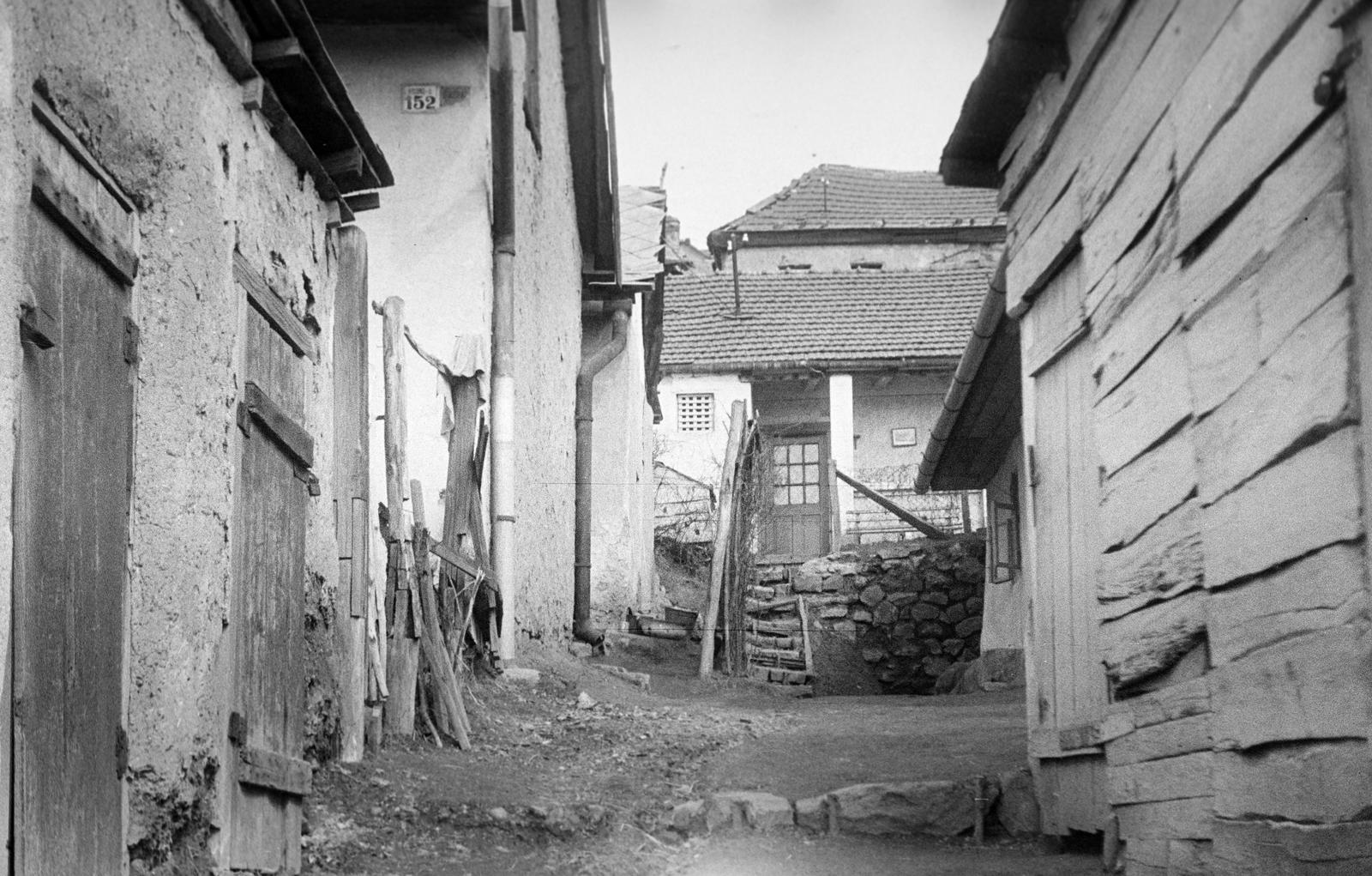 Magyarország, 1958, Gazda Anikó, Fortepan #307068