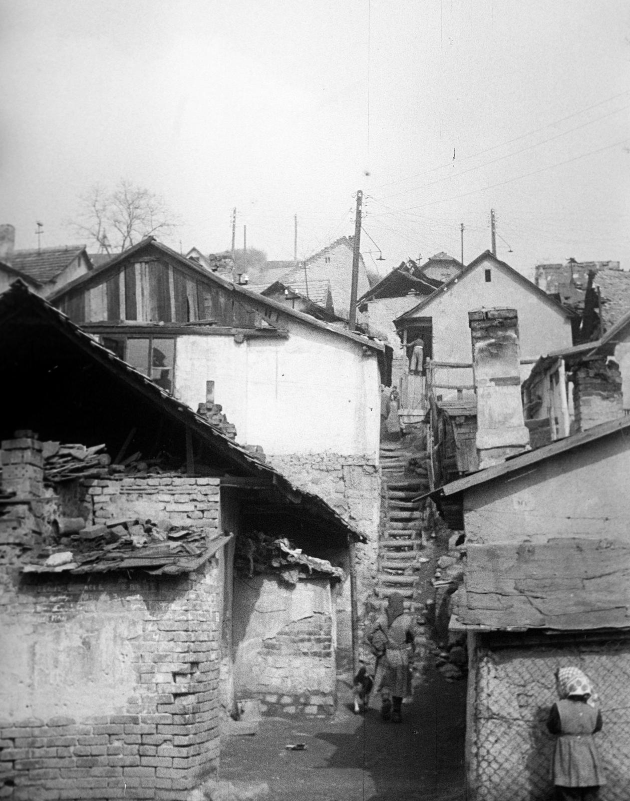 Magyarország, 1958, Gazda Anikó, Fortepan #307074