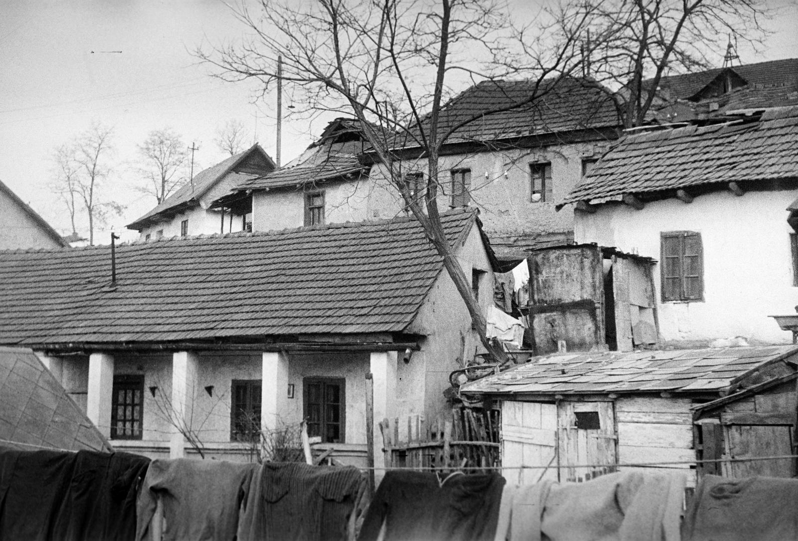 Magyarország, 1958, Gazda Anikó, Fortepan #307075