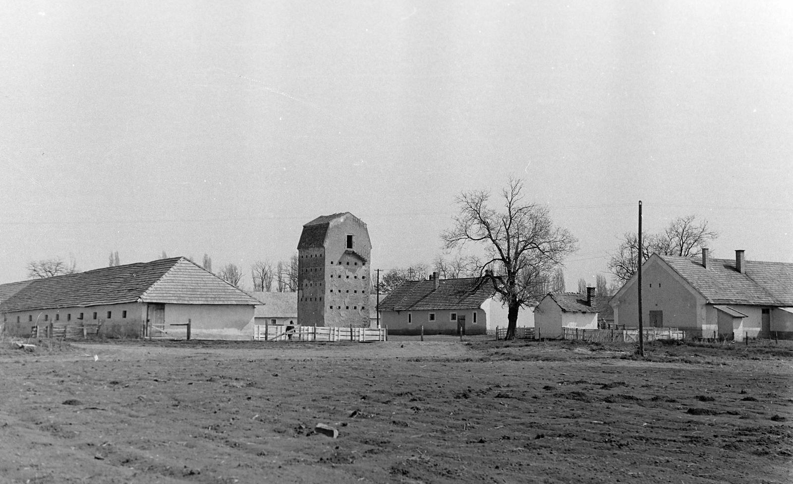 Magyarország, Mezőhegyes, Ómezőhegyes, 18-as major, Mezőhegyesi Állami Gazdaság, műemlék zabsilótorony / zabtorony., 1960, Gazda Anikó, mezőgazdaság, épület, magtár, Fortepan #307088