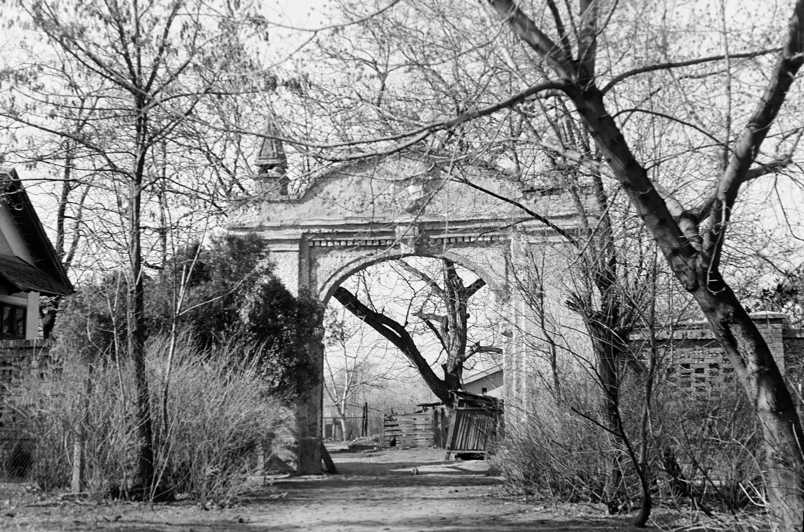 Magyarország, 1960, Gazda Anikó, Fortepan #307090