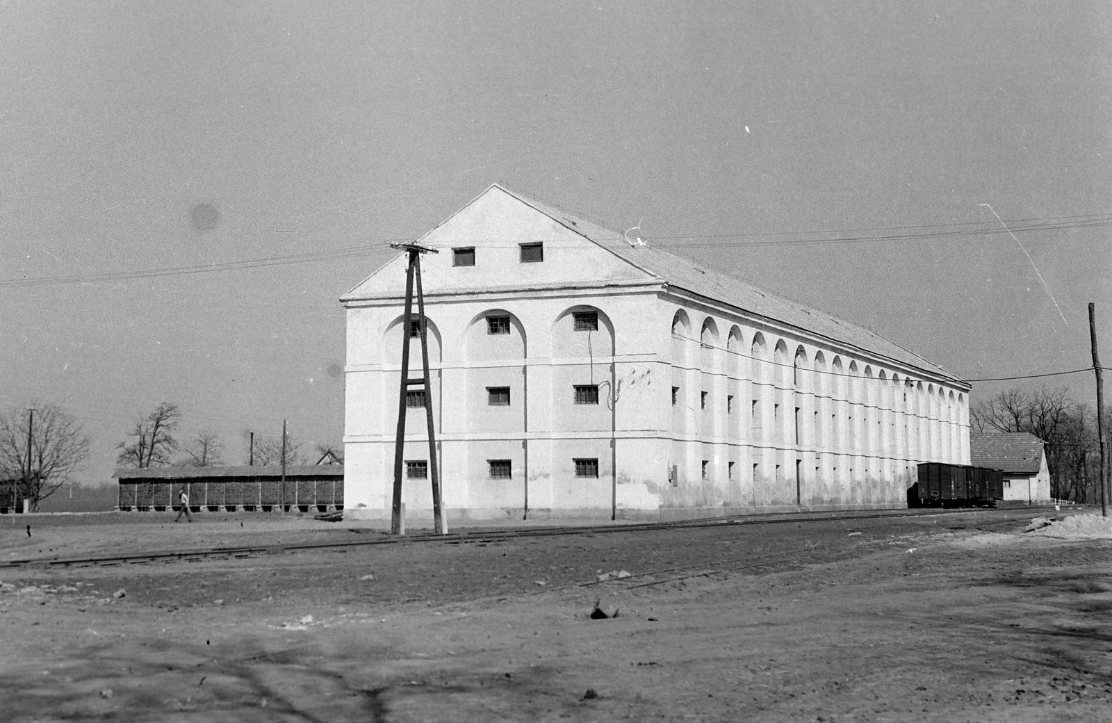 Magyarország, Mezőhegyes, Komlósfecskéspuszta, 6-os major, Mezőhegyesi Állami Gazdaság, magtár., 1960, Gazda Anikó, vasút, épület, vagon, kukoricagóré, Fortepan #307092