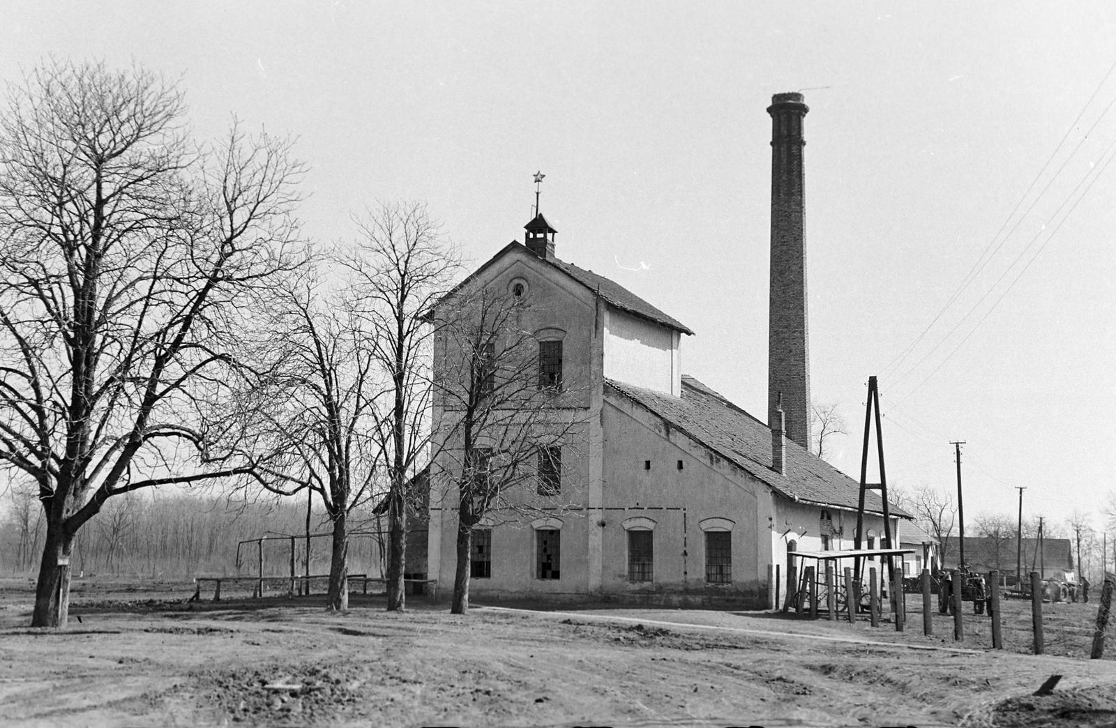 Magyarország, Mezőhegyes, Mezőhegyesi Állami Gazdaság., 1960, Gazda Anikó, vörös csillag, kémény, épület, Fortepan #307093