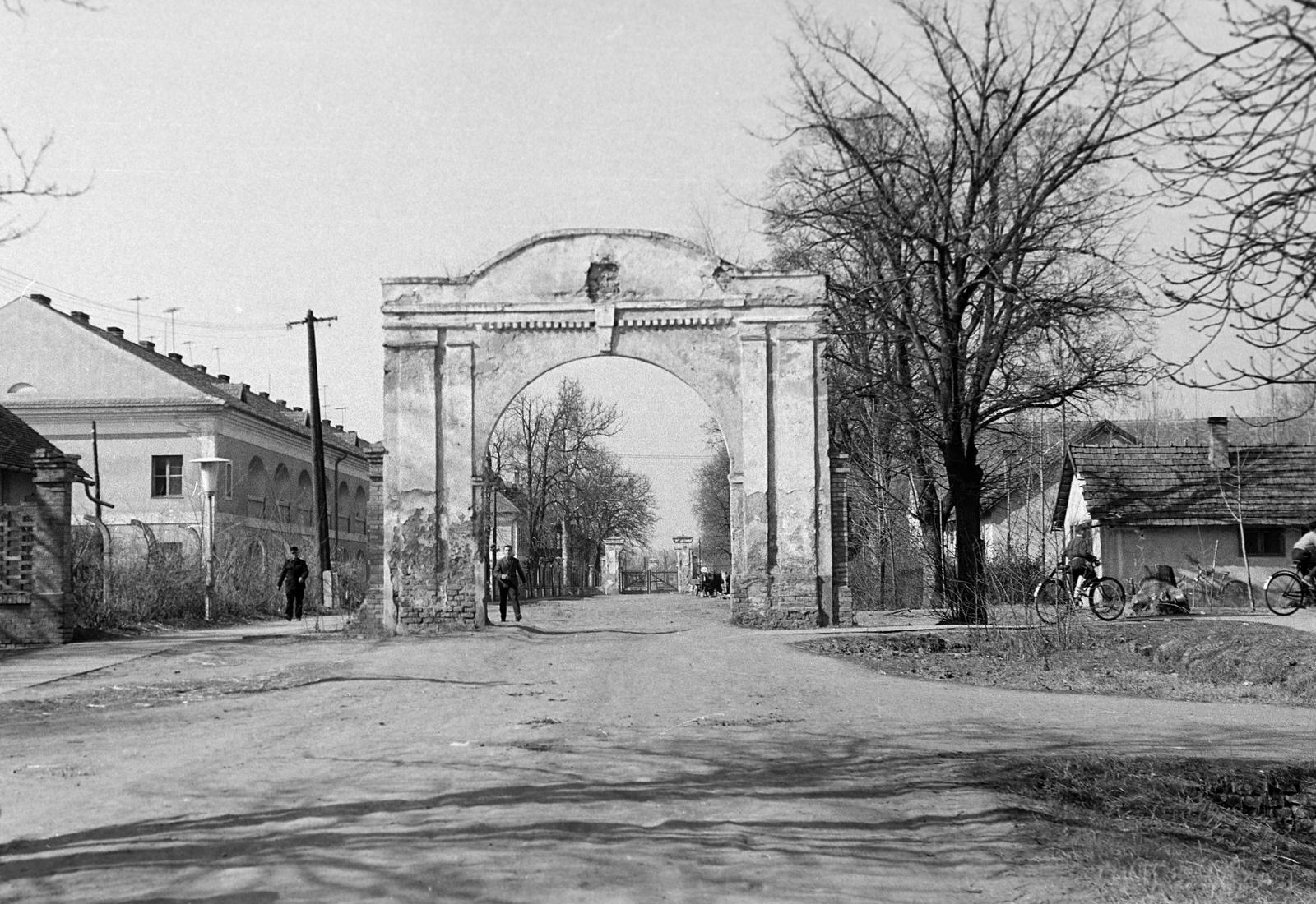 Magyarország, 1960, Gazda Anikó, Best of, földút, Fortepan #307095