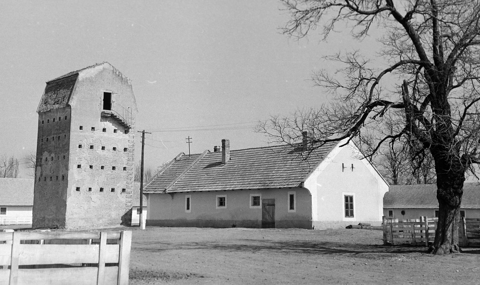 Magyarország, Mezőhegyes, Ómezőhegyes, 18-as major, Mezőhegyesi Állami Gazdaság, műemlék zabsilótorony / zabtorony., 1960, Gazda Anikó, siló, Fortepan #307096