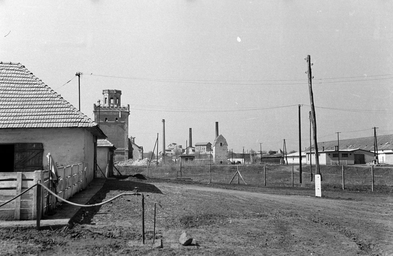 Magyarország, Mezőhegyes, Ómezőhegyes, 18-as major, Mezőhegyesi Állami Gazdaság, háttérben balra a Szeszgyár, jobbra a műemlék Zabsilótorony / Zabtorony., 1960, Gazda Anikó, Fortepan #307097
