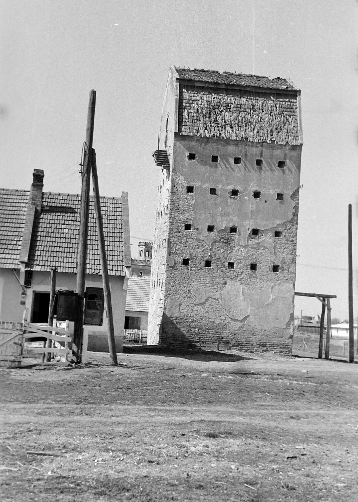 Magyarország, 1960, Gazda Anikó, Fortepan #307099