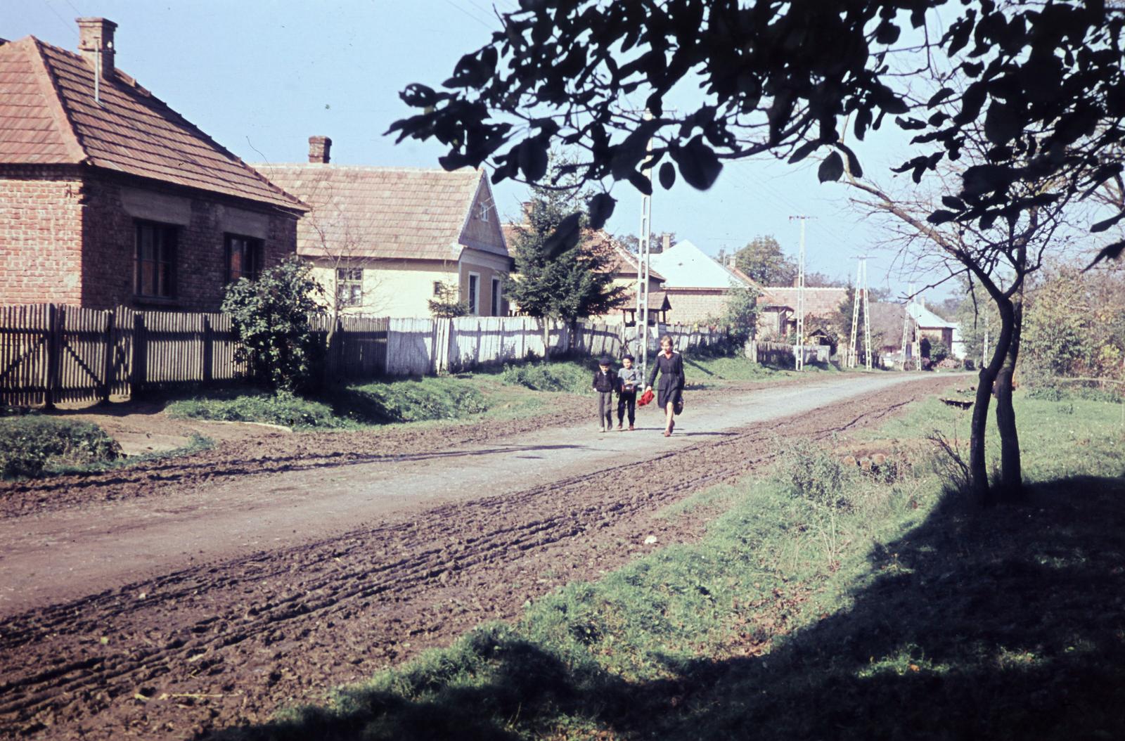 Hungary, 1965, Gazda Anikó, Fortepan #307112