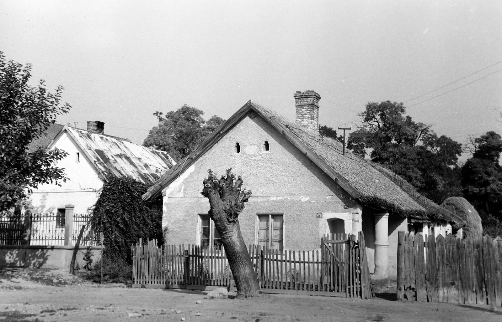 Magyarország, 1962, Gazda Anikó, Fortepan #307113