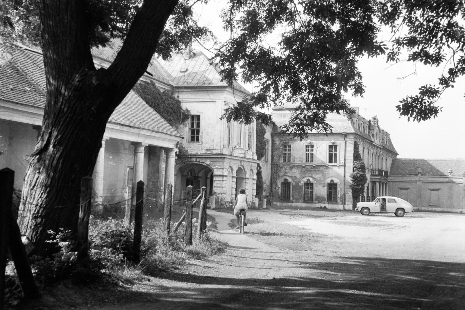 Magyarország, 1962, Gazda Anikó, Fortepan #307115
