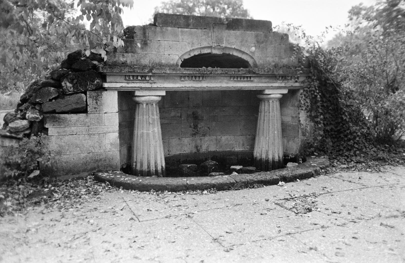 Magyarország, Dég, Festetics-kastély, a romszerű „antik forrás” a Rózsakertben., 1962, Gazda Anikó, medence, oszlop, Fortepan #307120