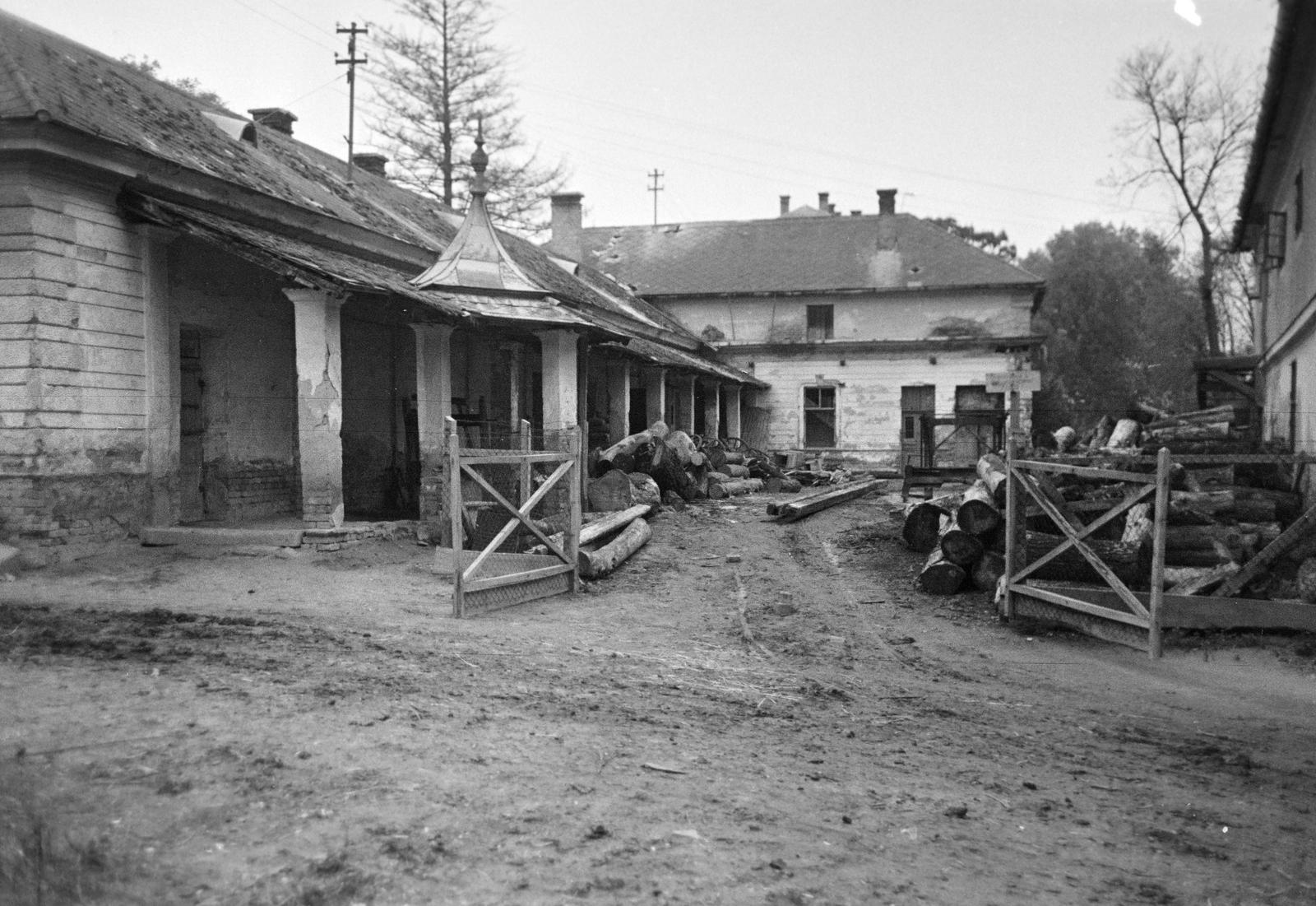 Hungary, 1959, Gazda Anikó, Best of, yard, porch, Fortepan #307123