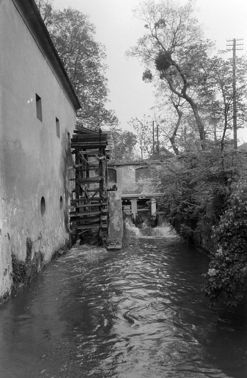 Magyarország, 1963, Gazda Anikó, Fortepan #307143