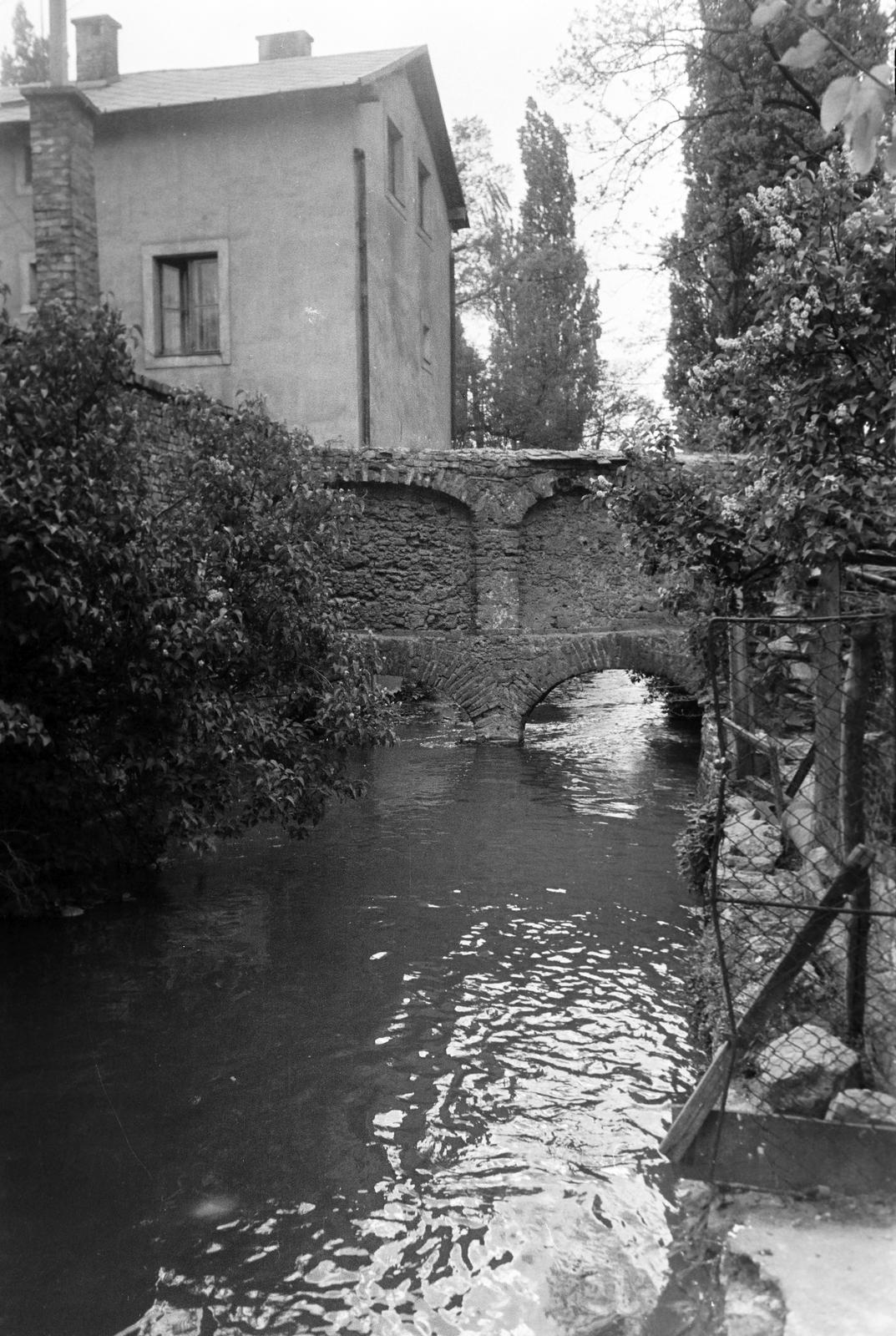 Hungary, 1963, Gazda Anikó, Fortepan #307144