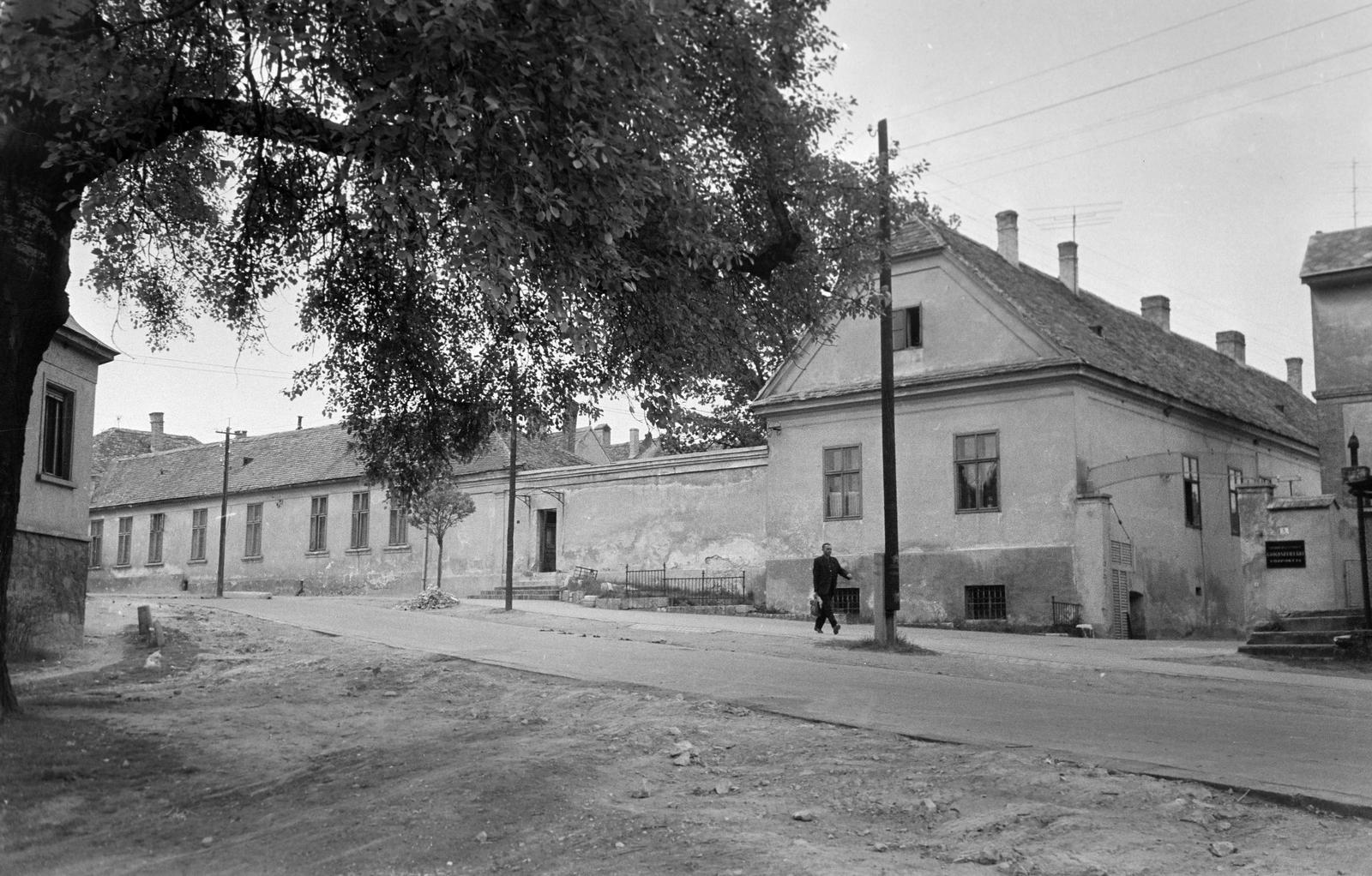 Hungary, 1963, Gazda Anikó, Fortepan #307146
