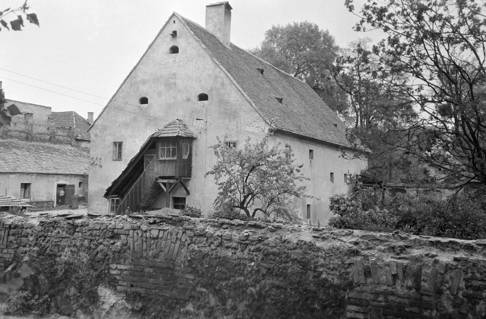 Magyarország, 1963, Gazda Anikó, Fortepan #307148