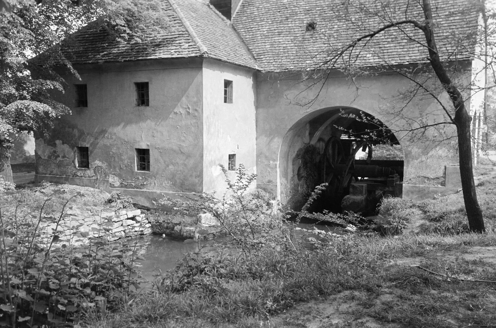 Magyarország, 1963, Gazda Anikó, Fortepan #307151