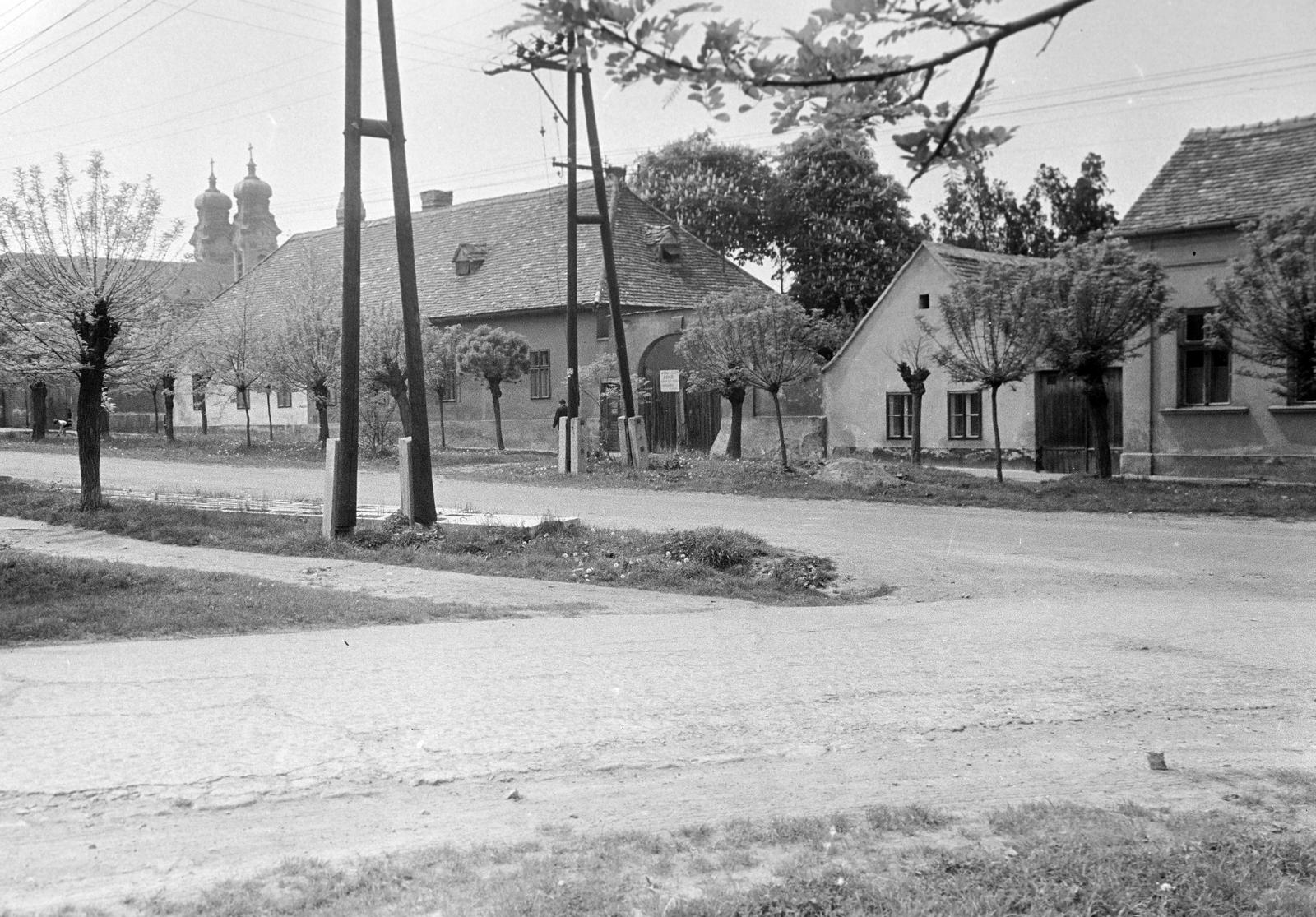 Hungary, 1963, Gazda Anikó, Fortepan #307155