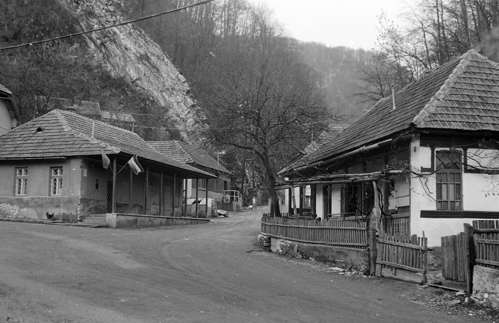 Magyarország, 1967, Gazda Anikó, Fortepan #307175