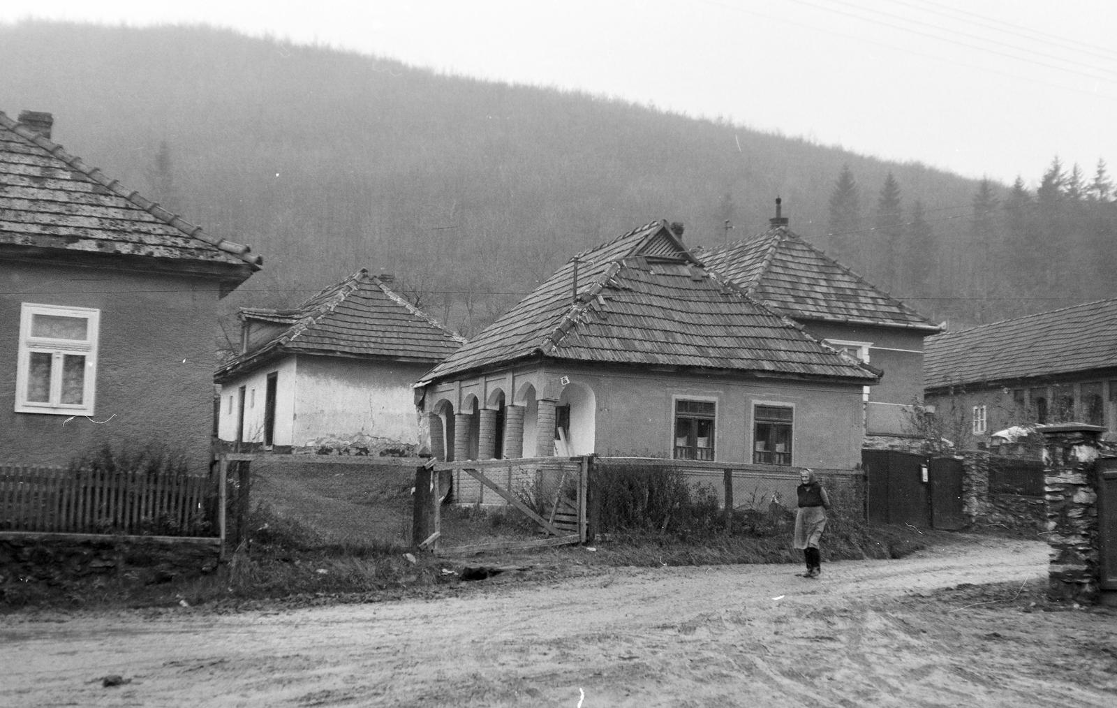 Magyarország, 1967, Gazda Anikó, Fortepan #307176