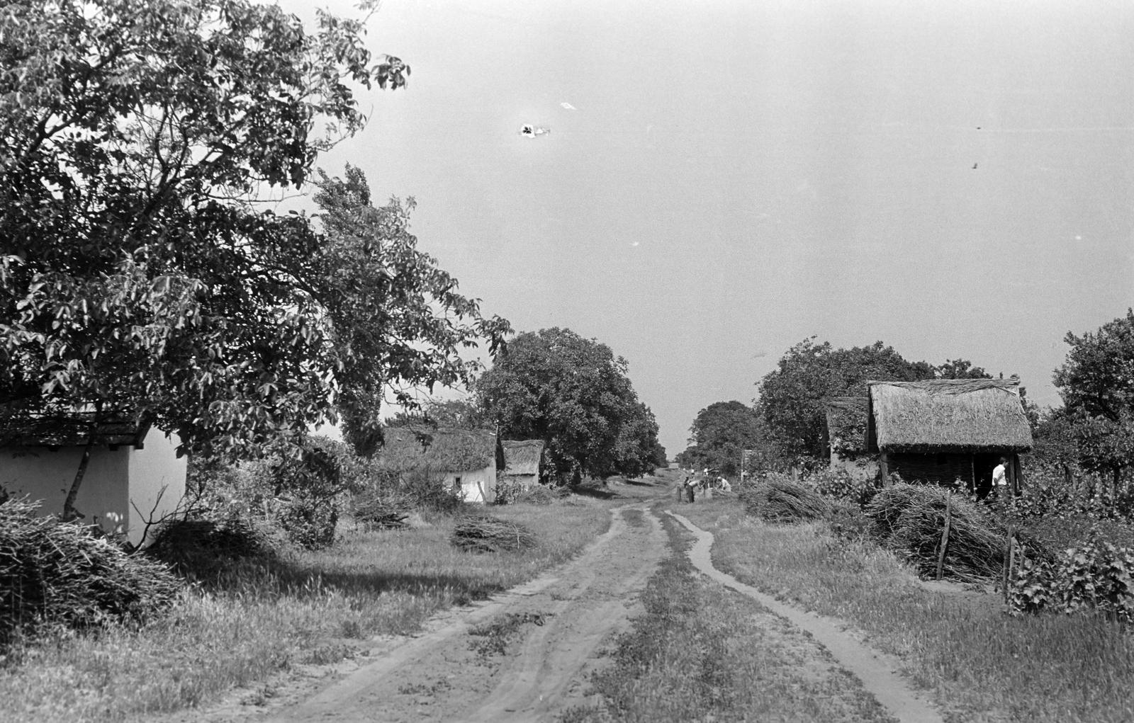 Magyarország, 1965, Gazda Anikó, Fortepan #307179