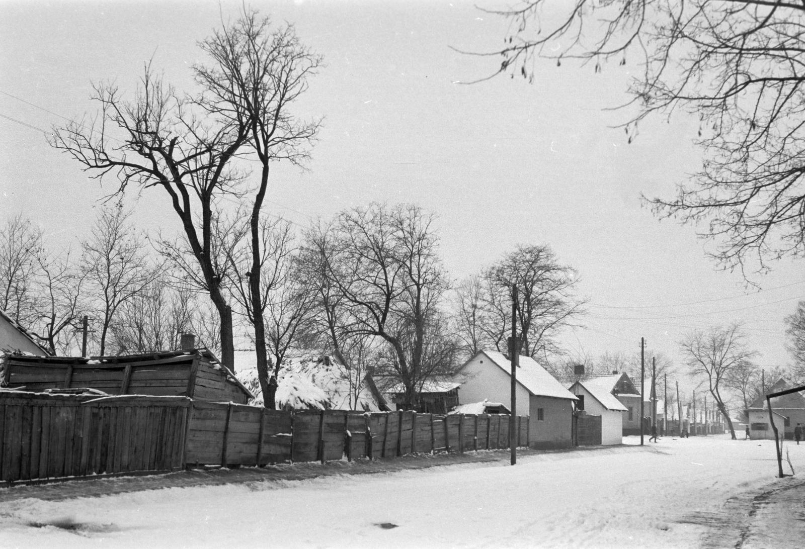 Magyarország, 1968, Gazda Anikó, Fortepan #307182