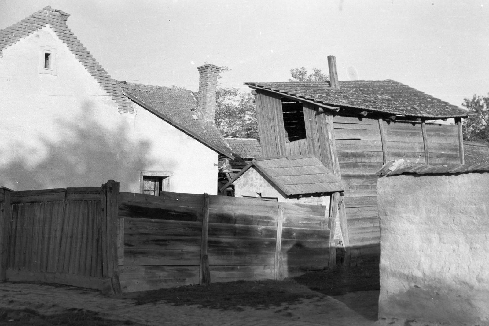 Magyarország, 1968, Gazda Anikó, Fortepan #307185