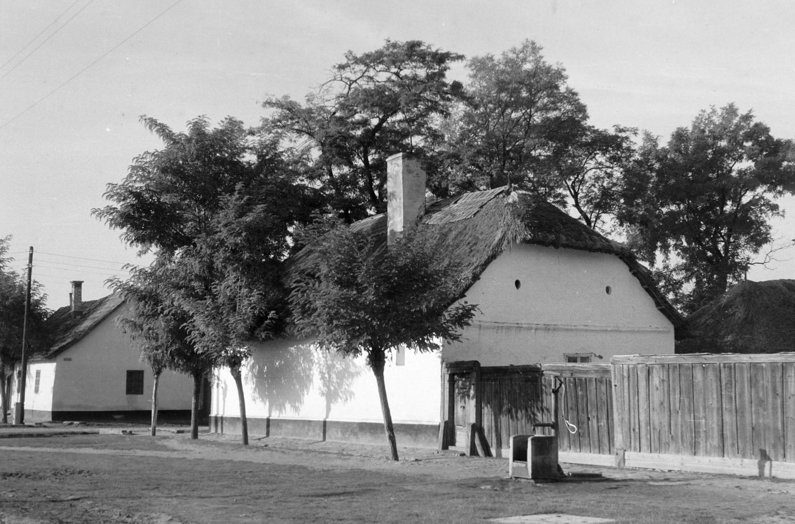 Magyarország, 1968, Gazda Anikó, Fortepan #307187