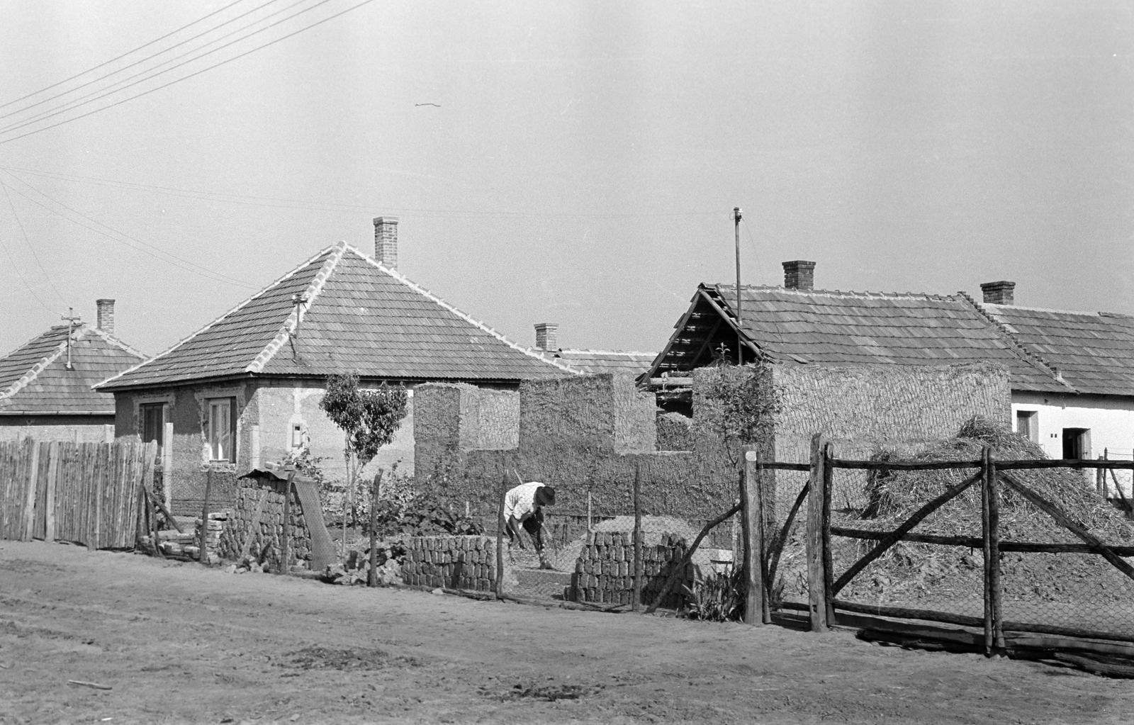 Hungary, 1968, Gazda Anikó, Fortepan #307189