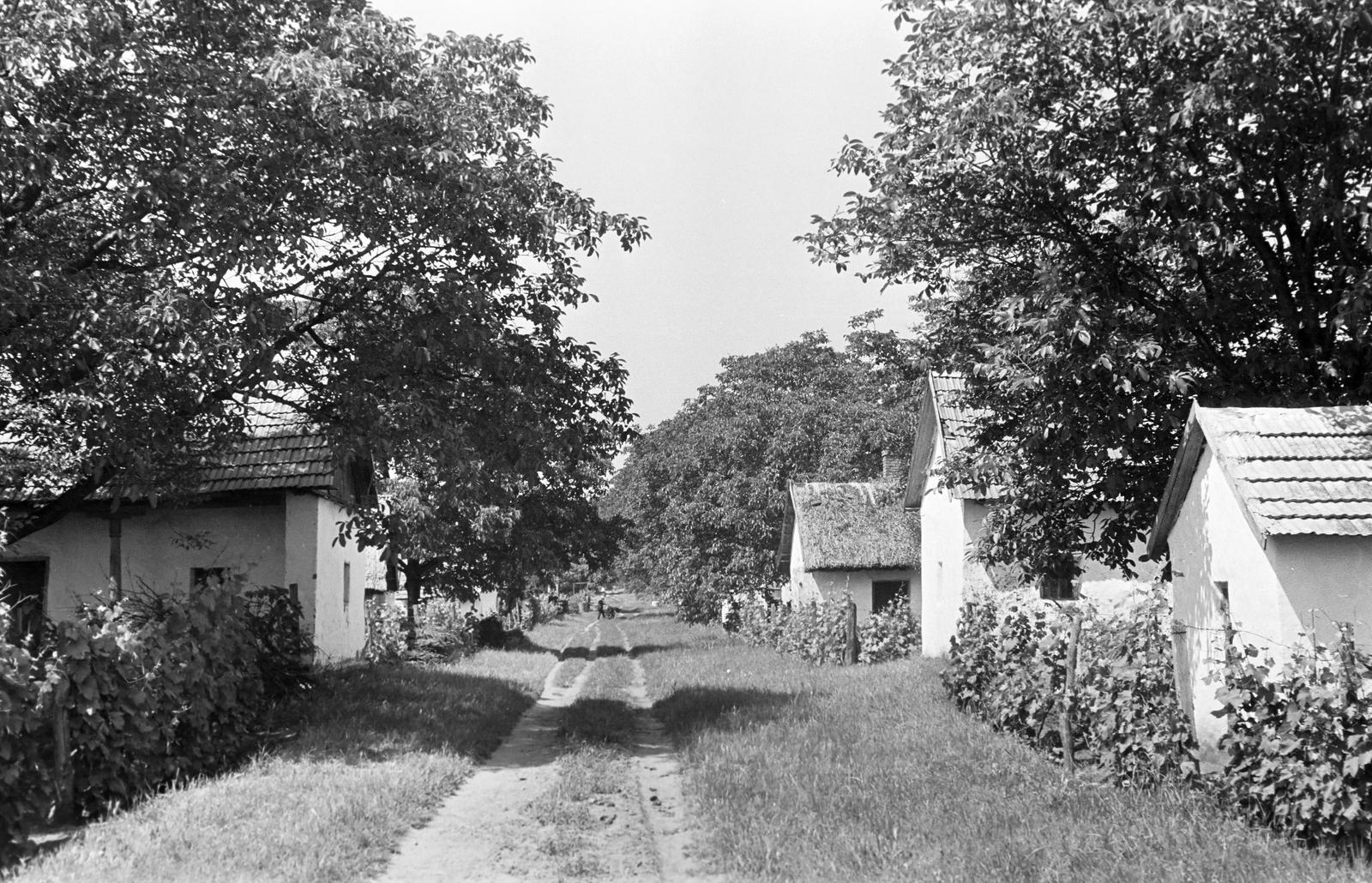 Hungary, 1968, Gazda Anikó, Fortepan #307190