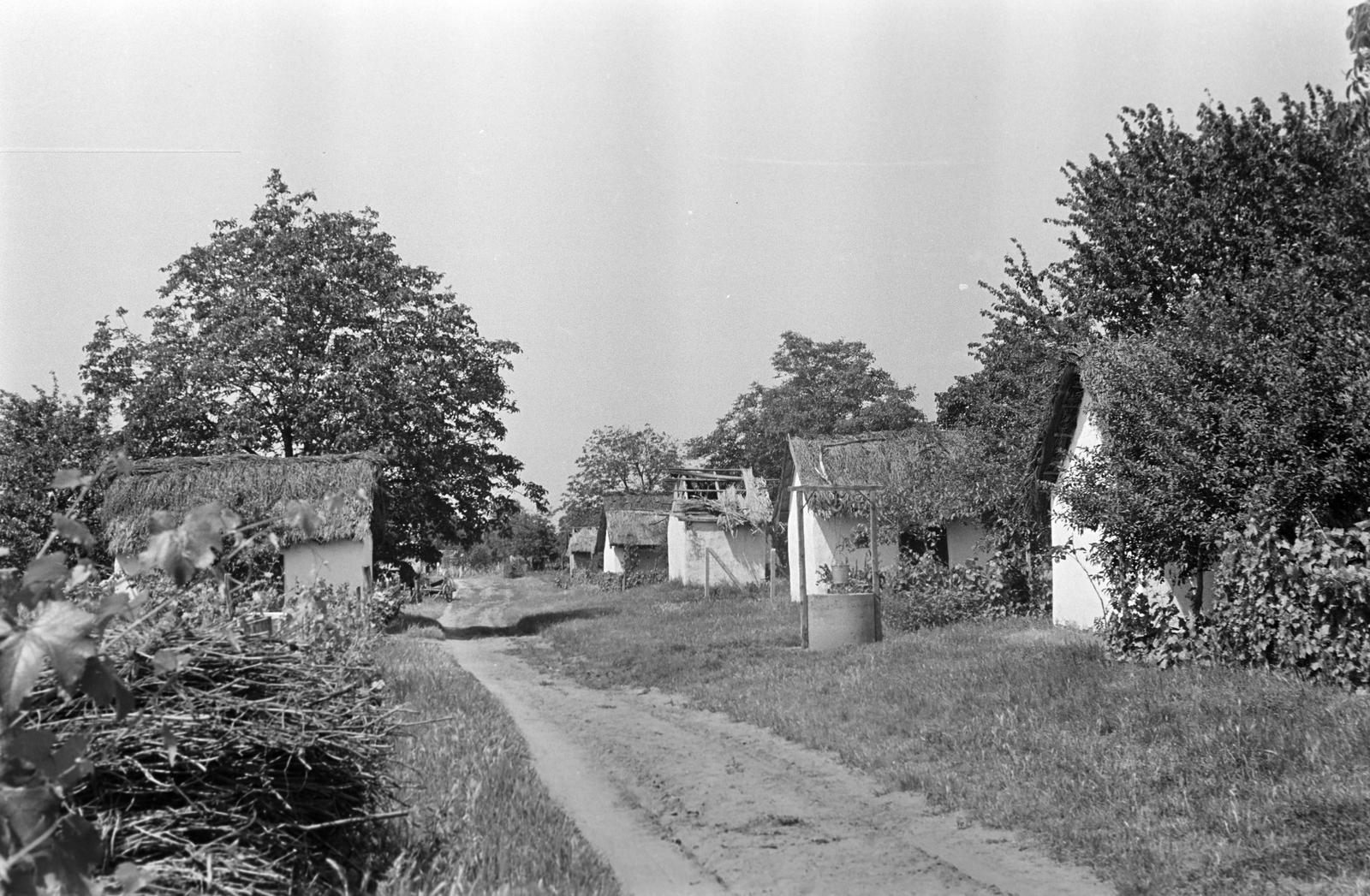 Hungary, 1968, Gazda Anikó, Fortepan #307191