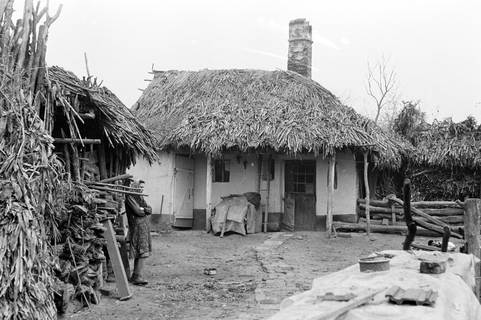 Hungary, 1968, Gazda Anikó, Fortepan #307193