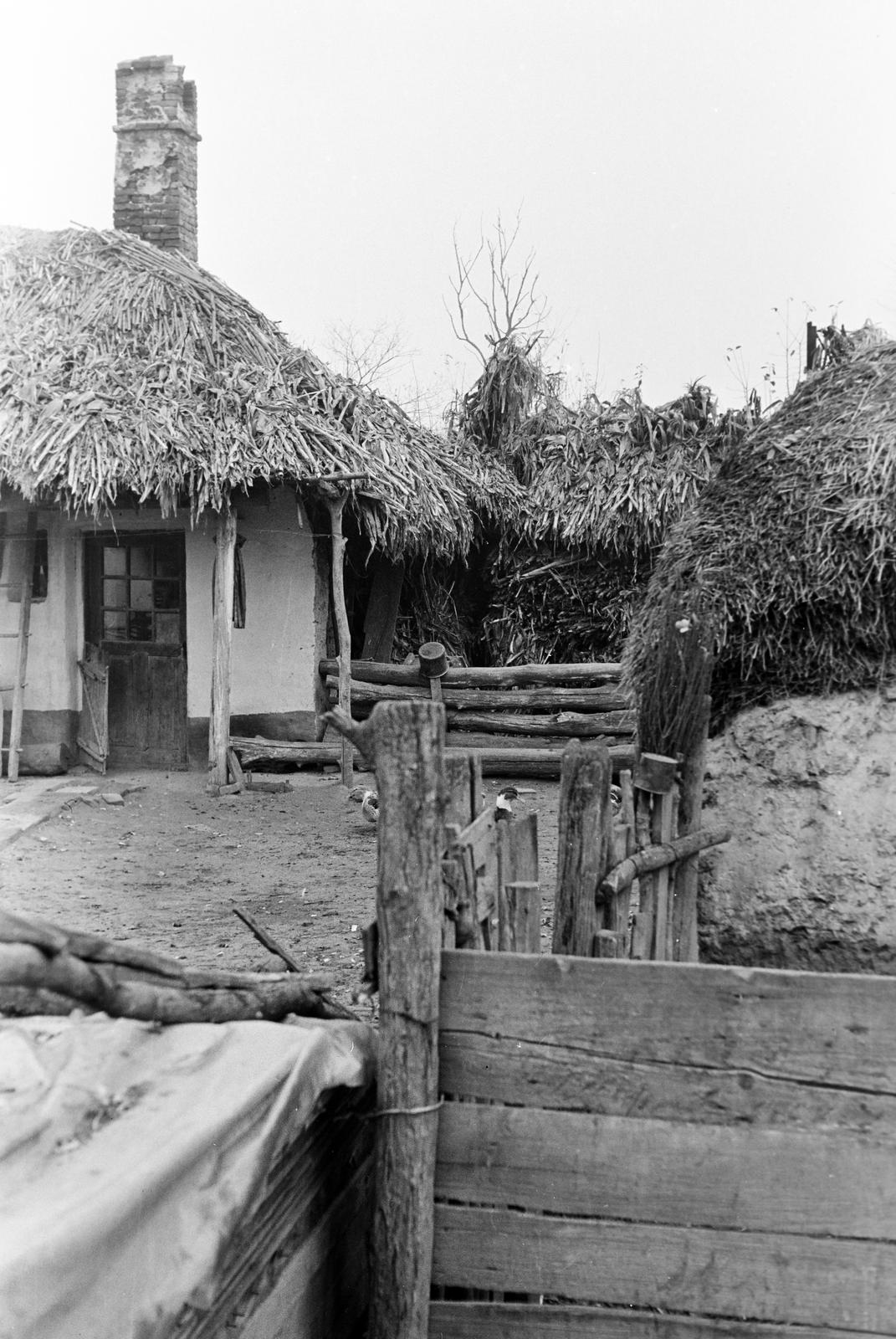 Hungary, 1968, Gazda Anikó, Fortepan #307194