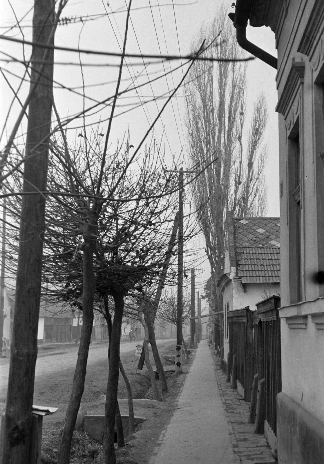 Hungary, 1968, Gazda Anikó, Fortepan #307195