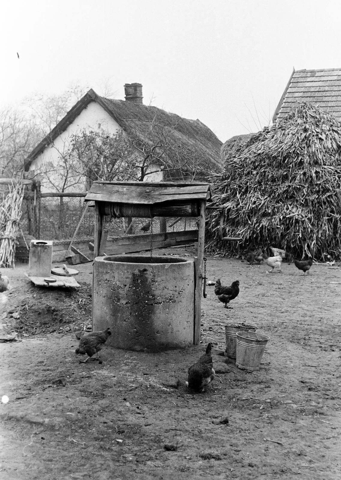 Hungary, 1968, Gazda Anikó, Fortepan #307196