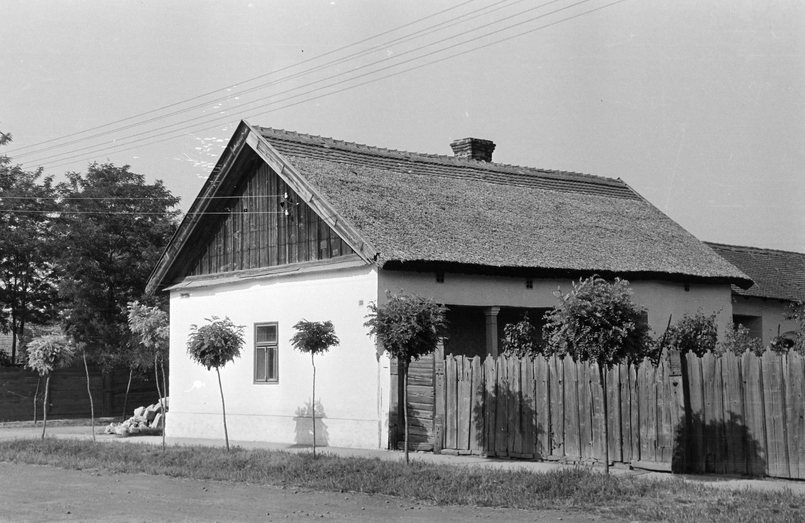 Hungary, 1968, Gazda Anikó, Fortepan #307198