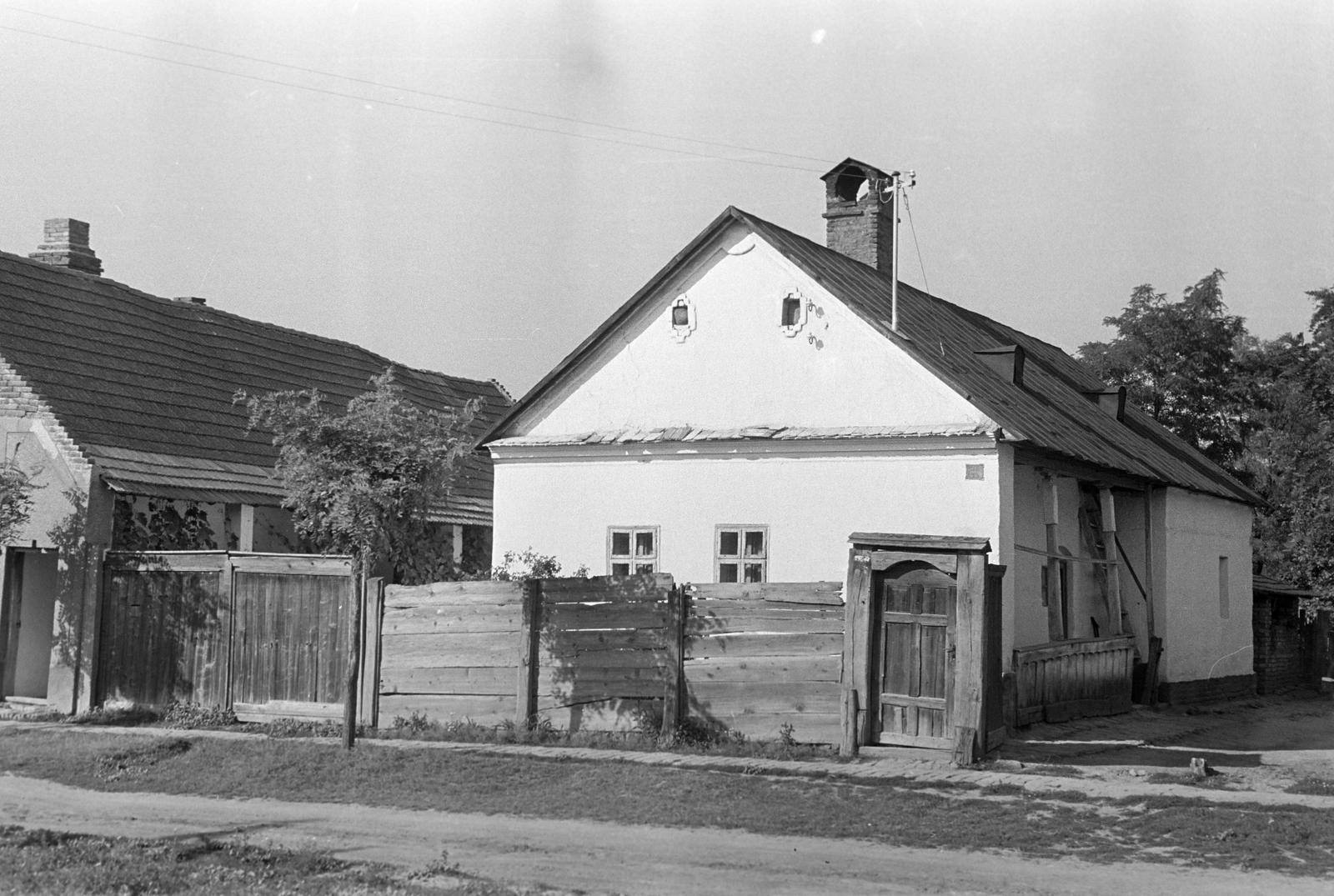 Hungary, 1968, Gazda Anikó, Fortepan #307201