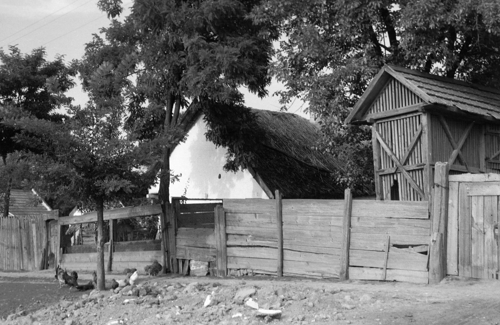 Hungary, 1968, Gazda Anikó, Fortepan #307203