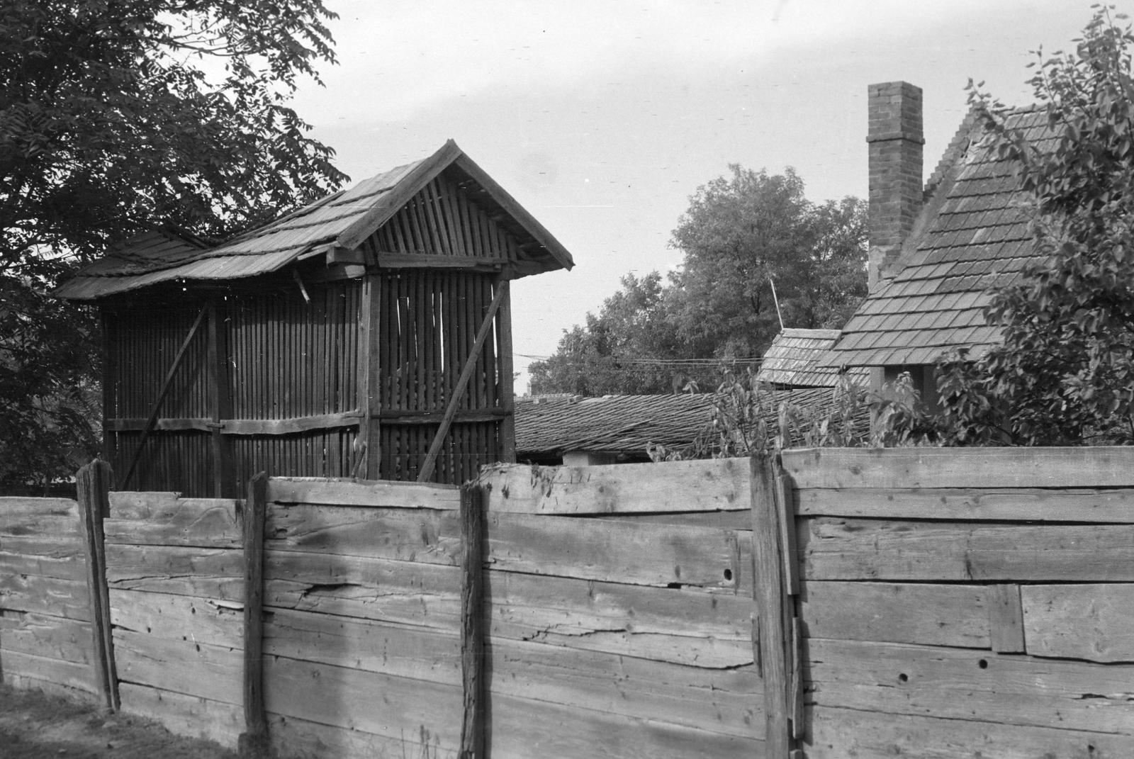 Hungary, 1968, Gazda Anikó, Fortepan #307206
