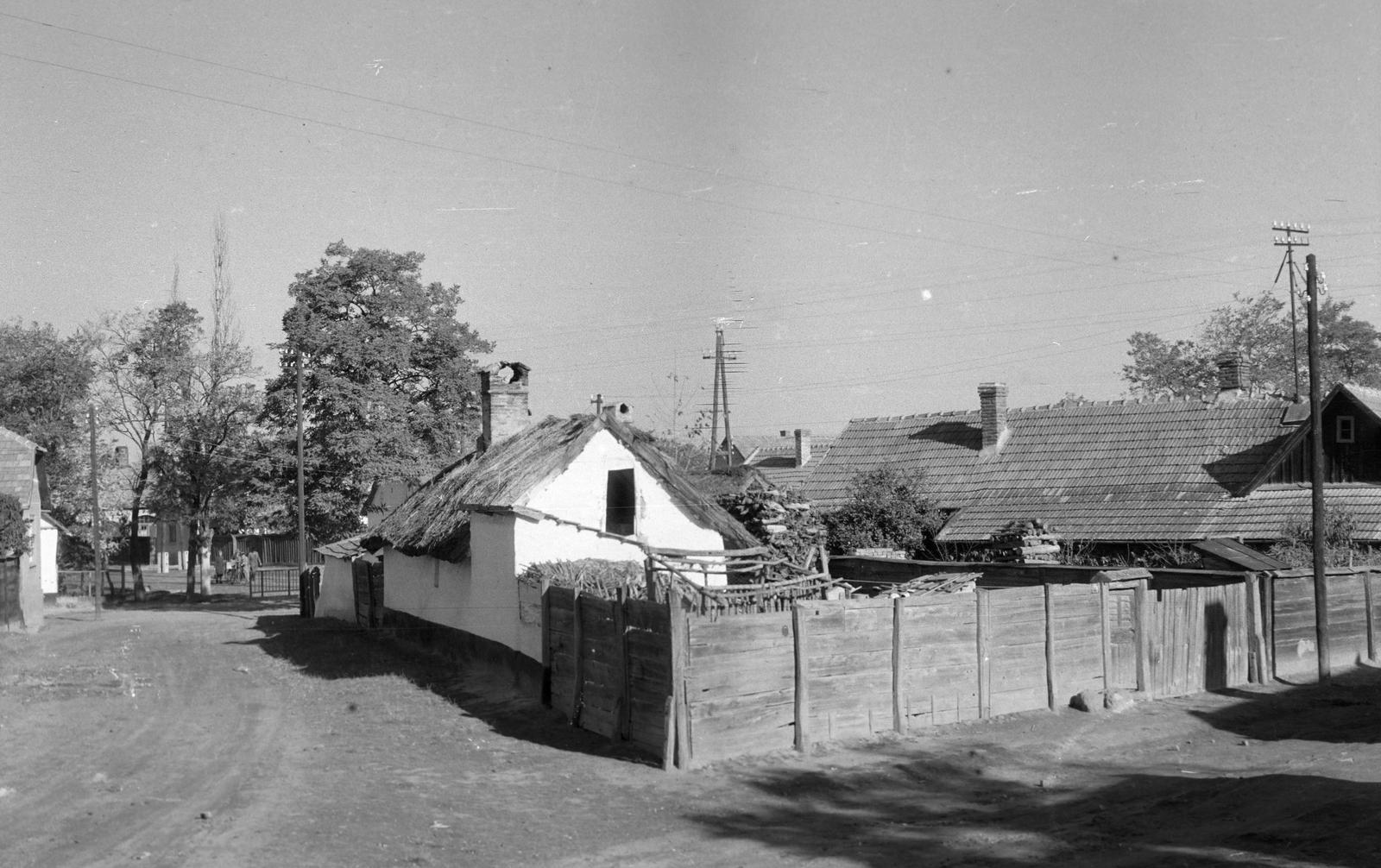 Hungary, 1968, Gazda Anikó, Fortepan #307207