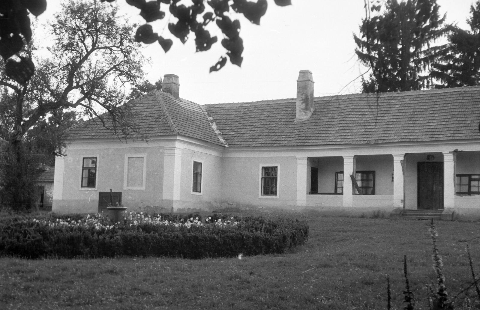 Hungary, 1968, Gazda Anikó, Fortepan #307208