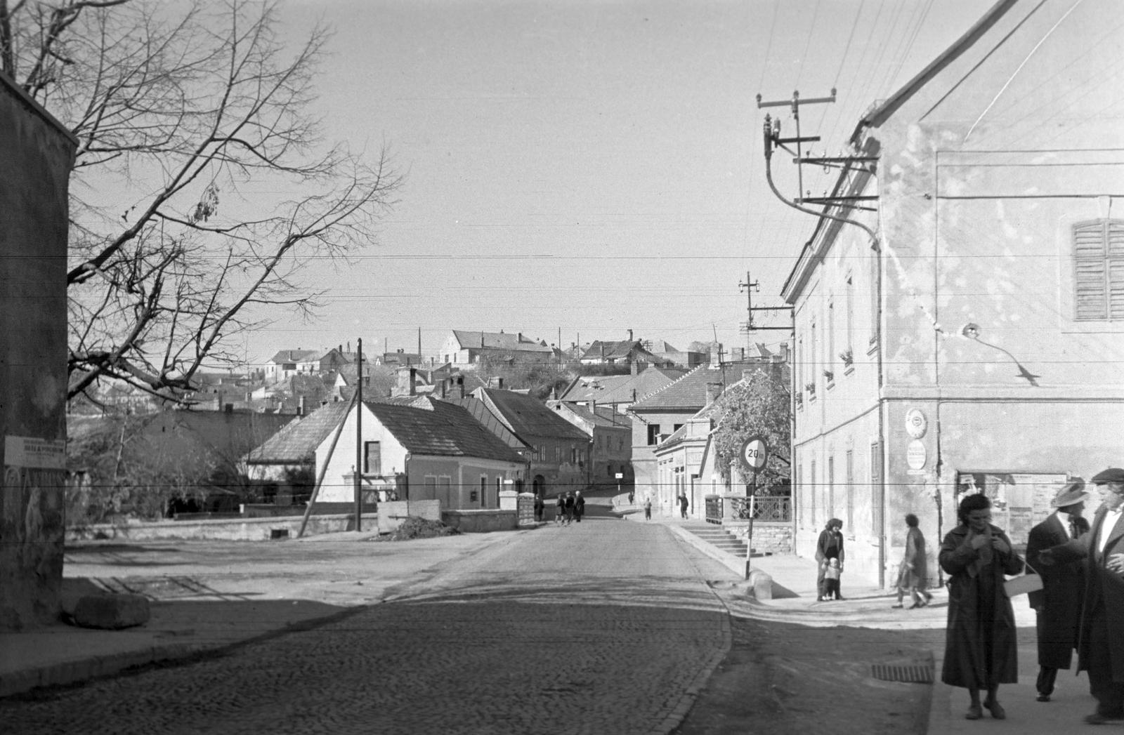 Hungary, 1965, Gazda Anikó, Fortepan #307225