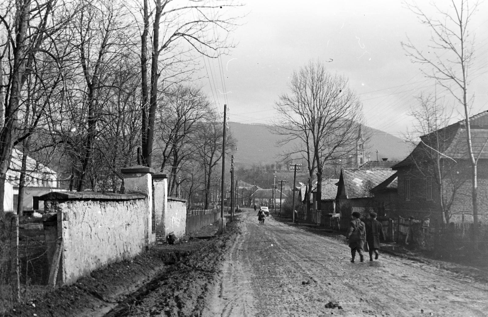 Hungary, 1965, Gazda Anikó, Fortepan #307243