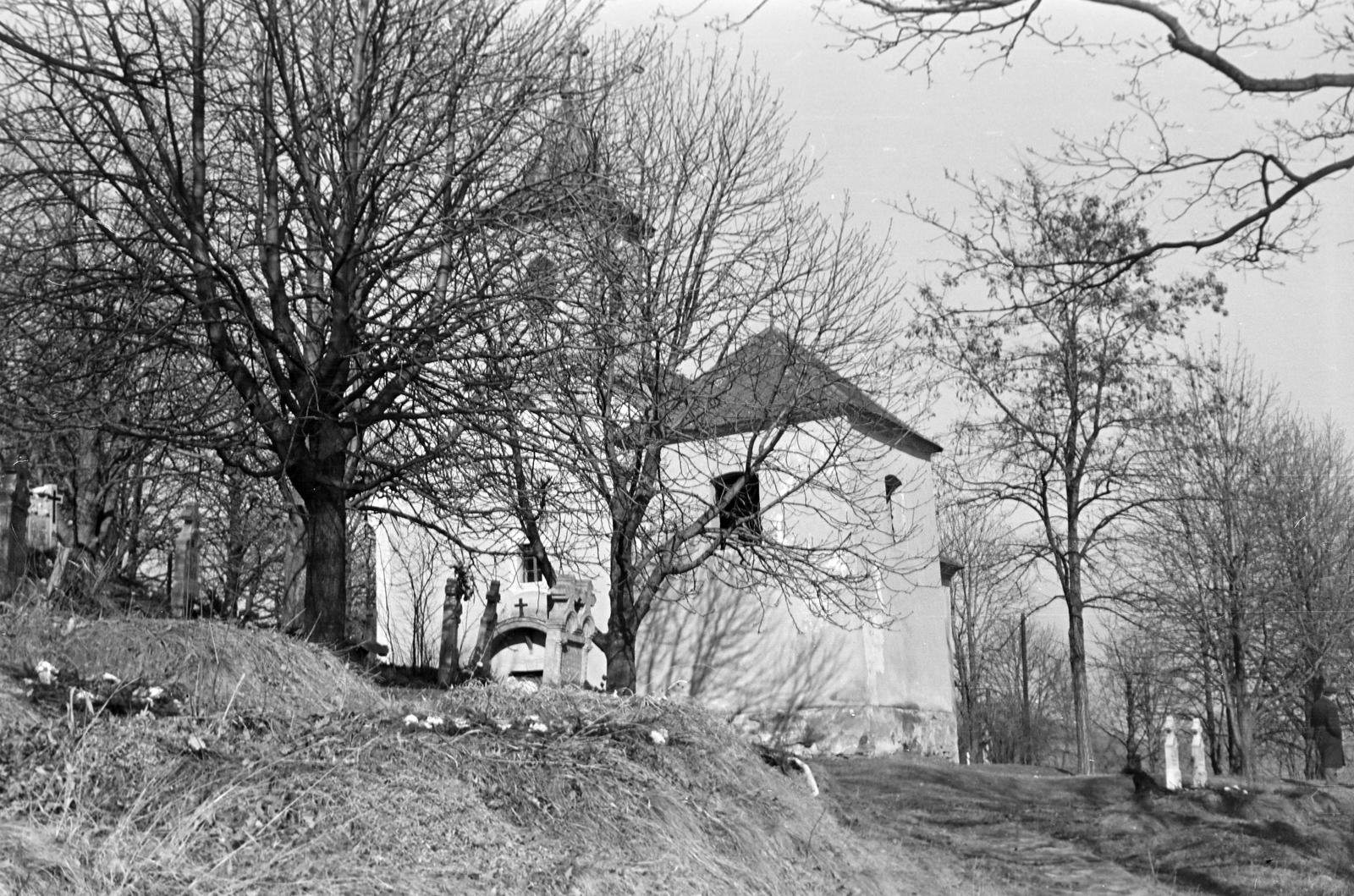 Hungary, 1965, Gazda Anikó, Fortepan #307247
