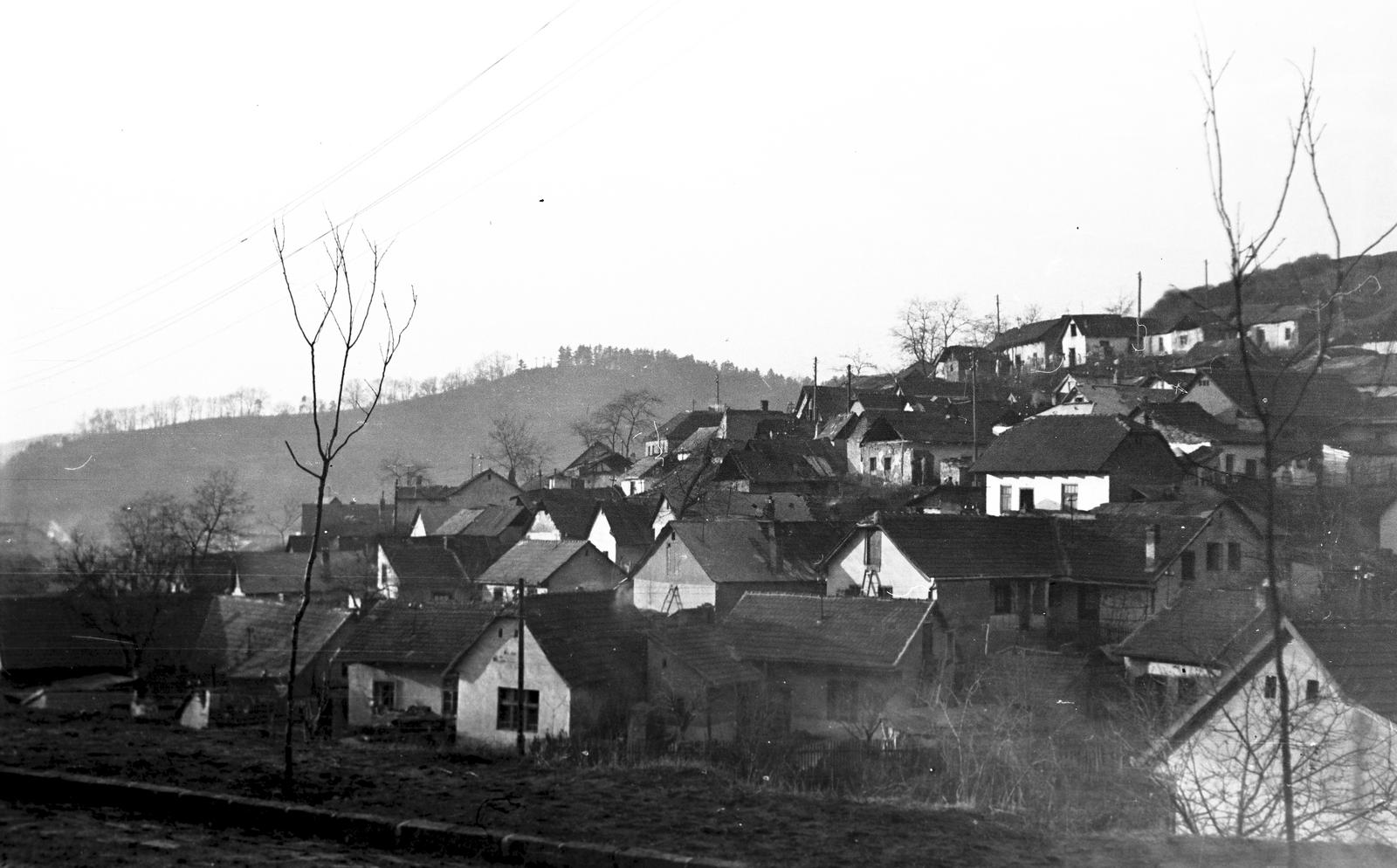 Hungary, Salgótarján, Pécskő út, a pécskődombi (kopaszdombi) cigánytelep., 1965, Gazda Anikó, Fortepan #307248