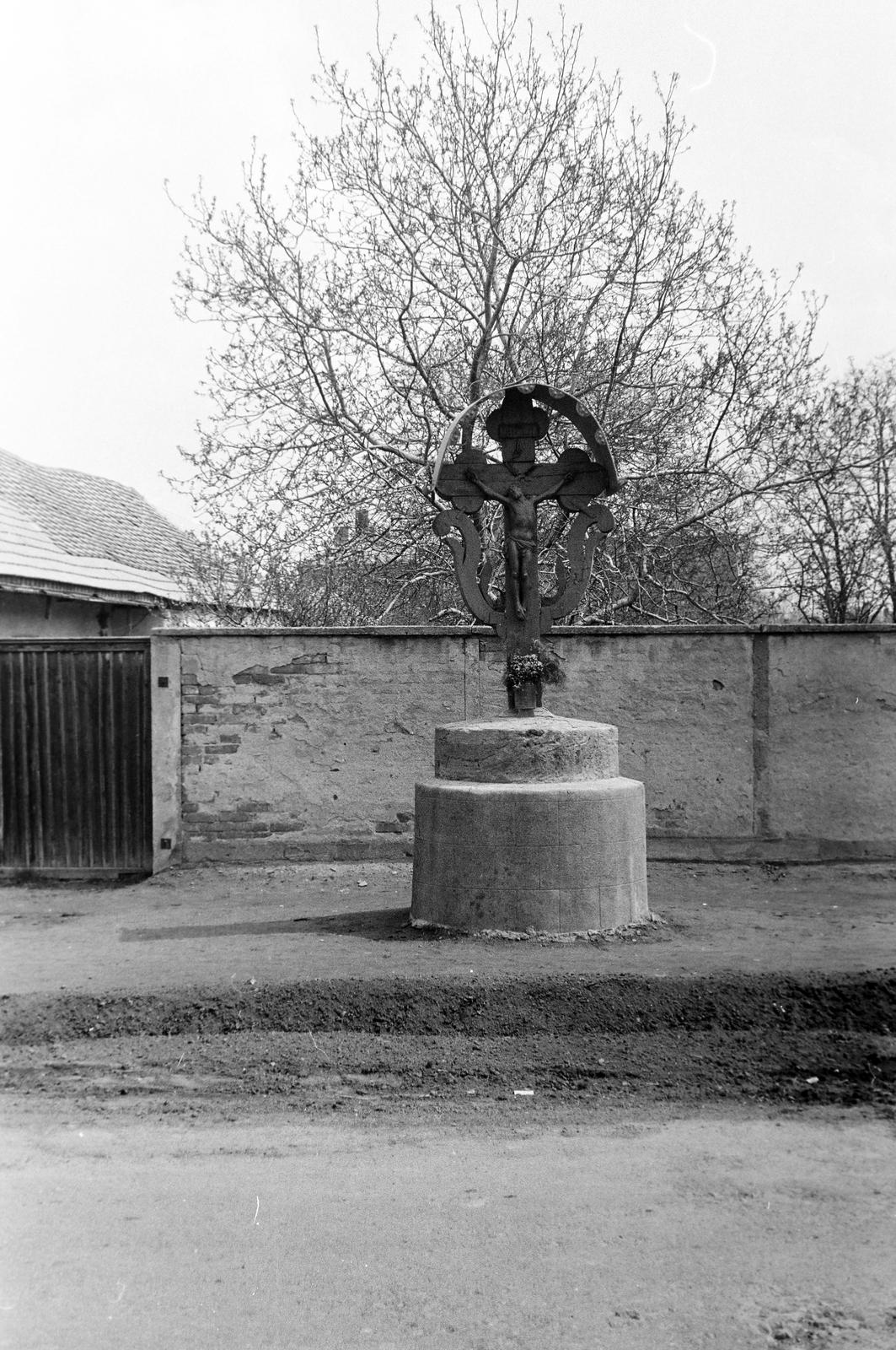 Hungary, 1961, Gazda Anikó, Fortepan #307259