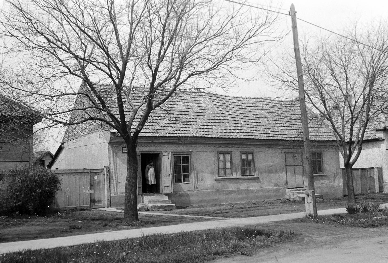 Magyarország, 1961, Gazda Anikó, Fortepan #307260
