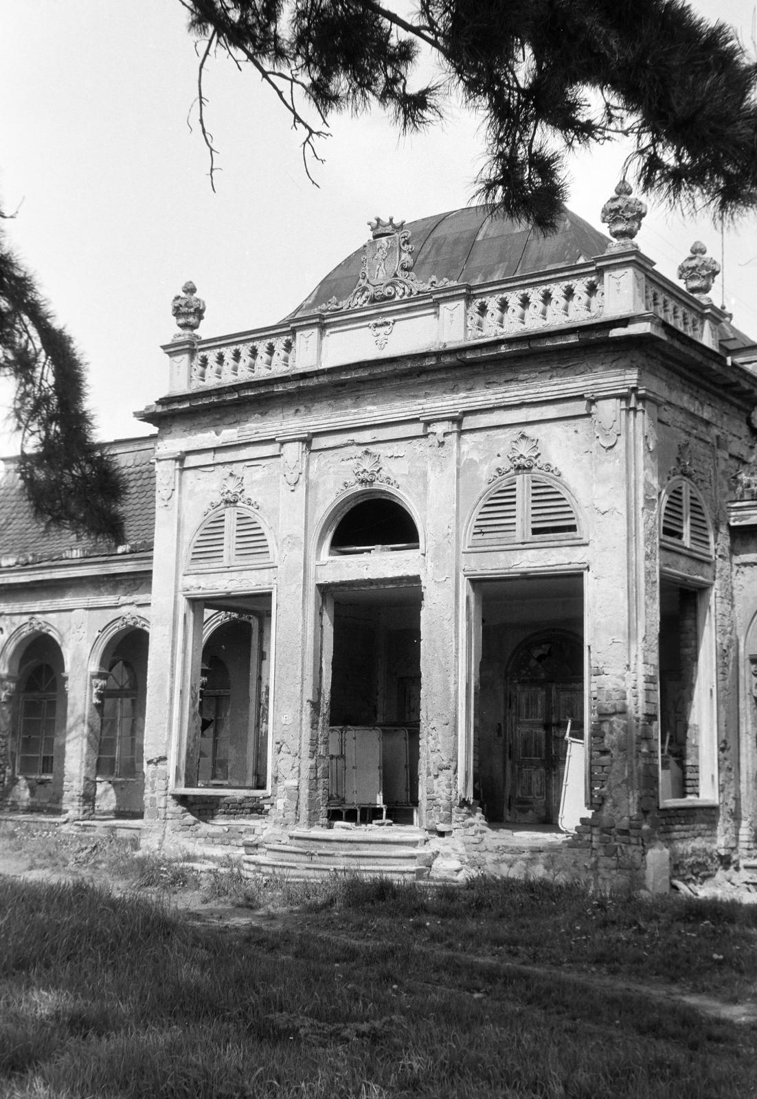 Hungary, 1961, Gazda Anikó, Fortepan #307262