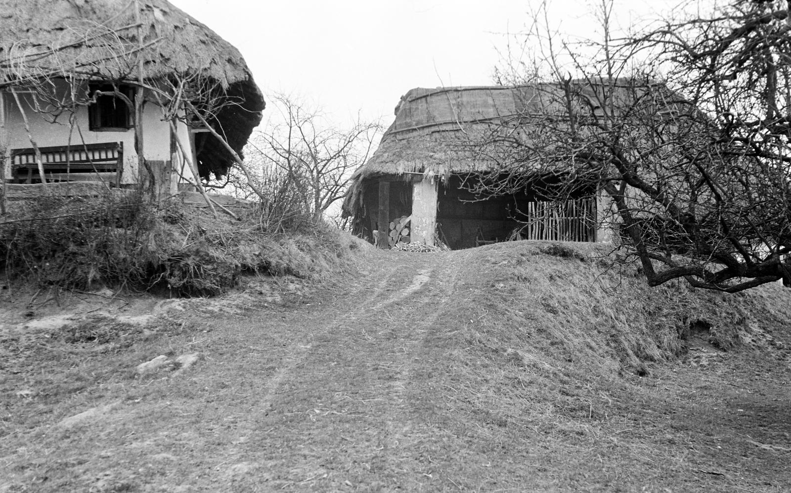 Hungary, 1961, Gazda Anikó, Fortepan #307263